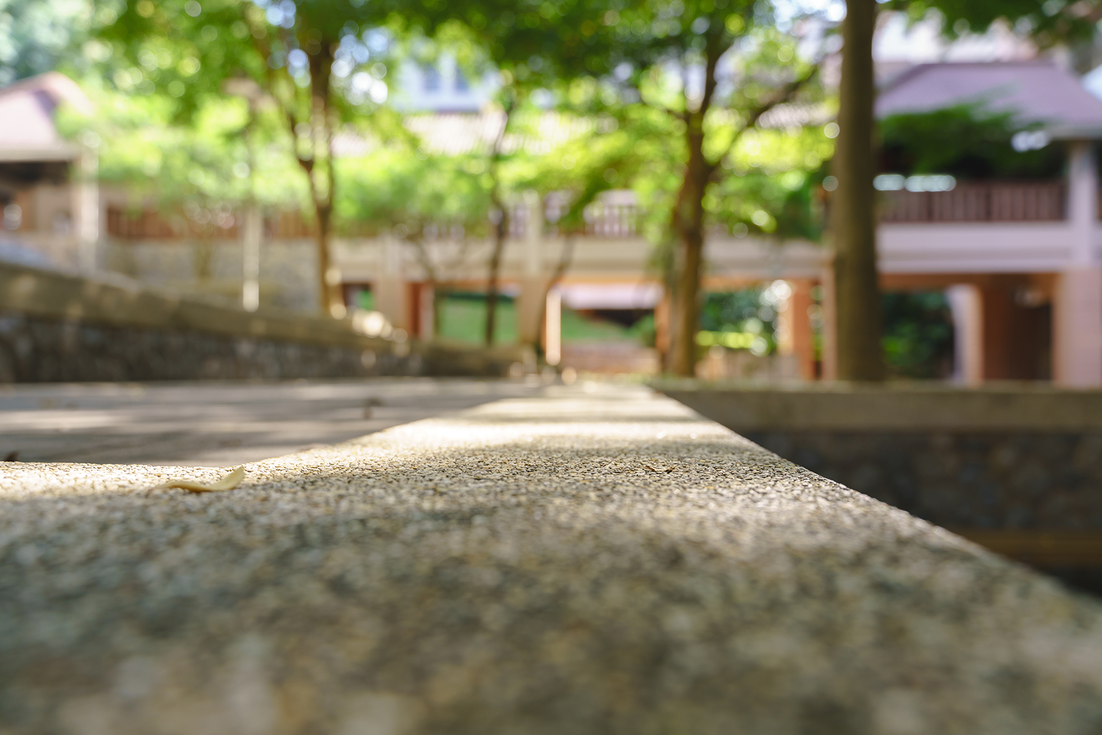 College Campus background